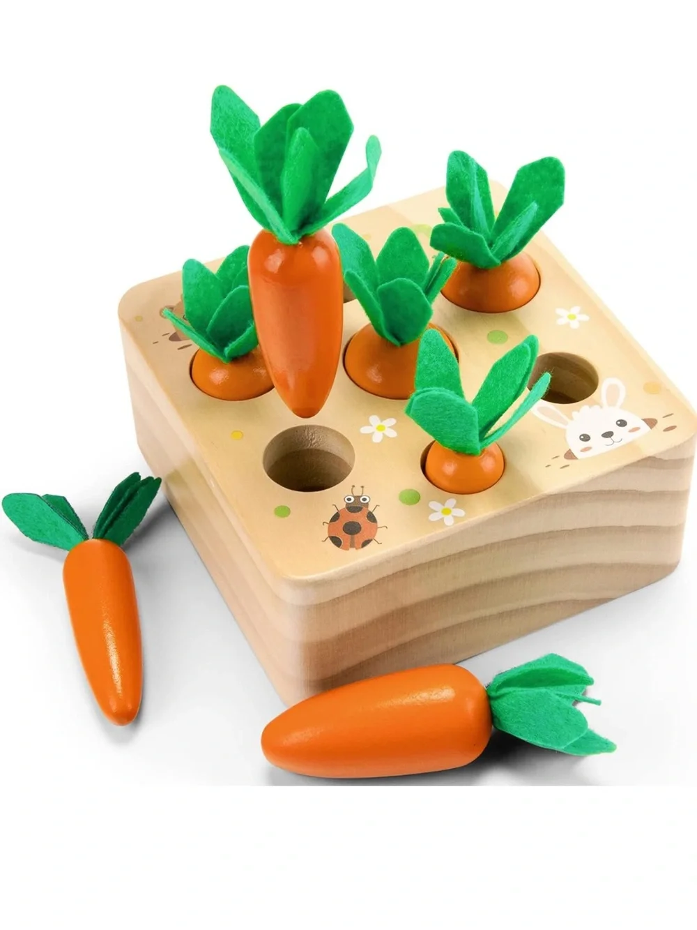 Montessori Carrot Harvest